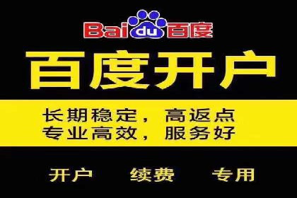 SEM推广代运营公司：行业领先的成功秘诀