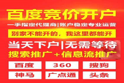 某科技公司的信息流广告投放策略与效果评估